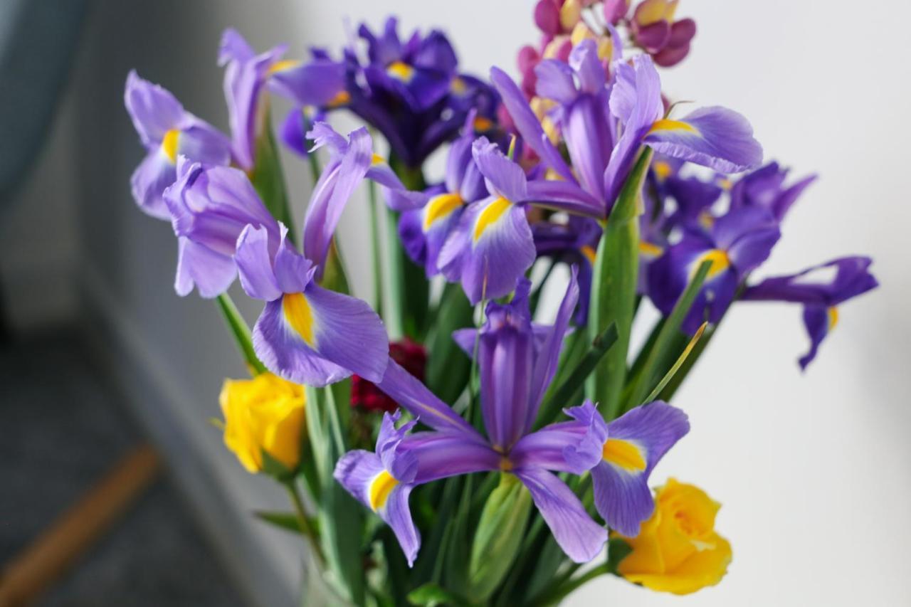 Flora